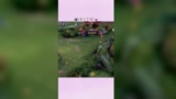 王者荣耀：这勾了个啥玩楞？
