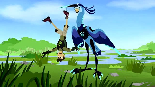 动物兄弟5:蓝色苍鹭一口吞掉一只巨蟹