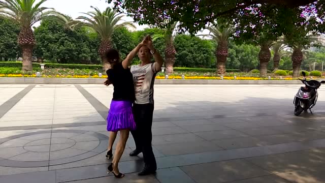 广场交谊舞 双人舞慢三《知心爱人》