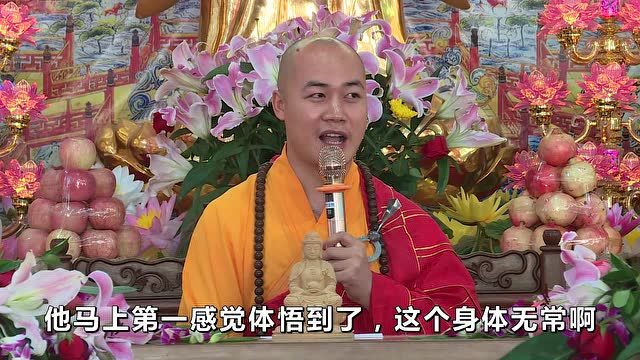 圣旭法师「正在说法」赤子之心不染尘 毫不利己专利人(214)