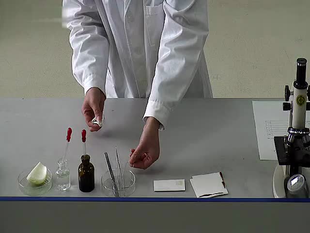 实验一《制作并观察洋葱内表皮细胞临时装片》