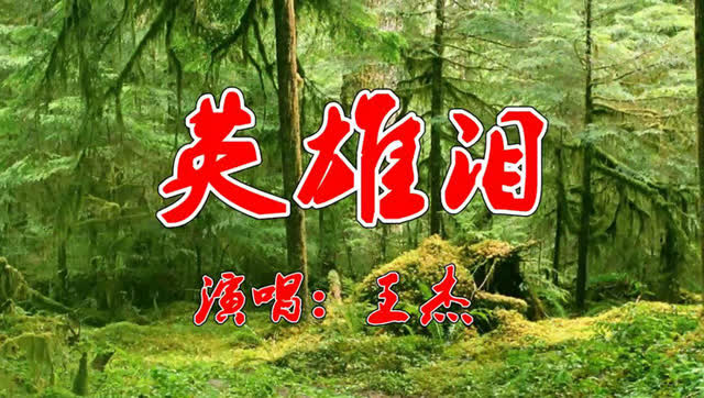 经典老歌:王杰一首《英雄泪》百听不腻