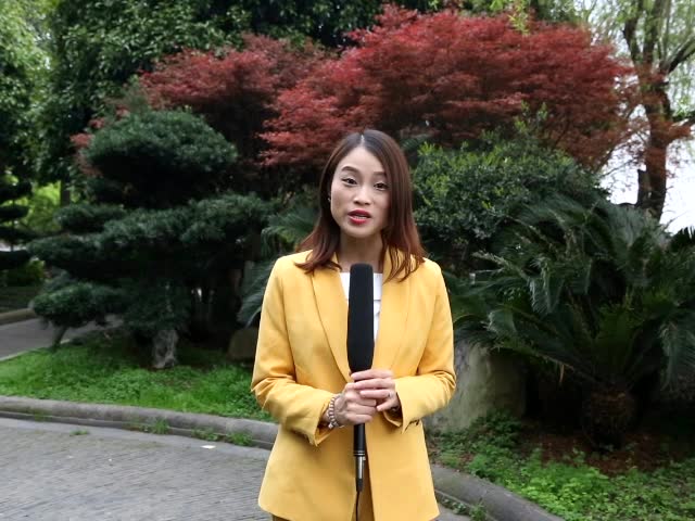 ta来了主持团亚亚雪联太外景主持