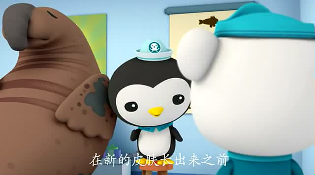 海底小纵队:象海豹蜕皮真累呀 说了两句话就又倒头睡觉了