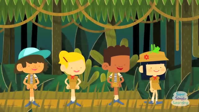 walking in the jungle