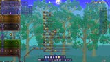 泰拉瑞亚 terraria 汉化版MOD 71 世纪之花！