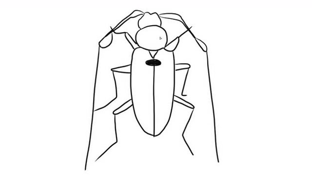 天牛儿童亲子简笔画 宝宝轻松学画画