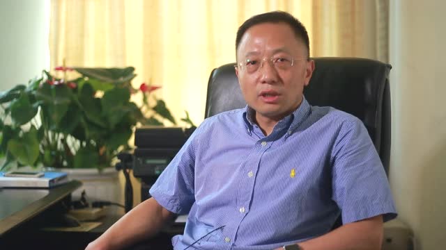 中国(江苏)国际风电产业发展高峰论坛嘉宾采访(蔡新教授)