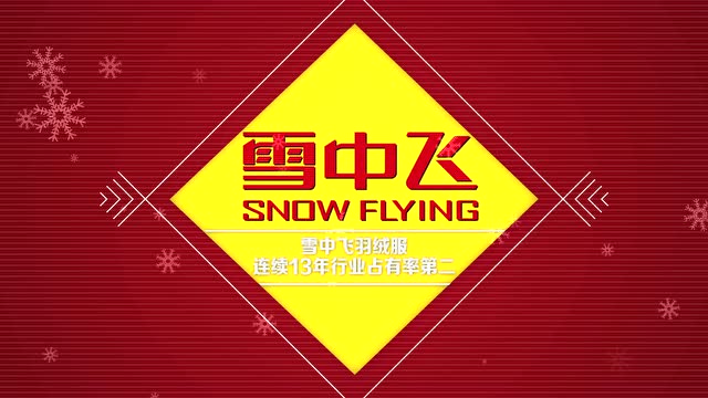【广告片】2013雪中飞双旦