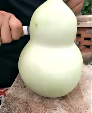 切开看下,猜猜葫芦里面装的是什么东西?