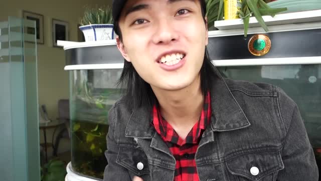 下雨的星期六下午,补牙记【杨六娃的vlog 2#】