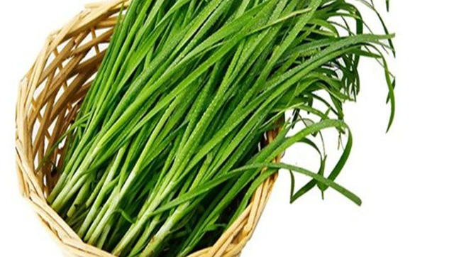 泡酒还得用韭菜,三天让你猛如虎,人参鹿茸自愧不如,收藏!