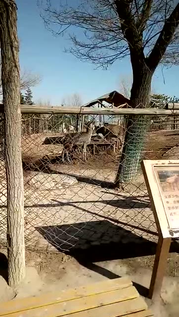 西寧野生動物園馬鹿玩本傑士堆