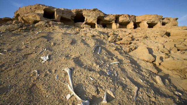 考古队沙漠挖掘古墓,开棺瞬间专家立马下跪,墓中公主竟睁眼微笑!