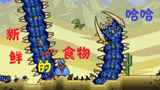 天铭 泰拉瑞亚 仙人掌MOD 18 沙漠食人虫！terraria