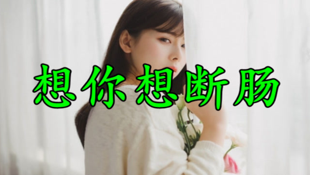 肉麻情歌!一首《想你想断肠》送给心中最爱的人,好听醉了!