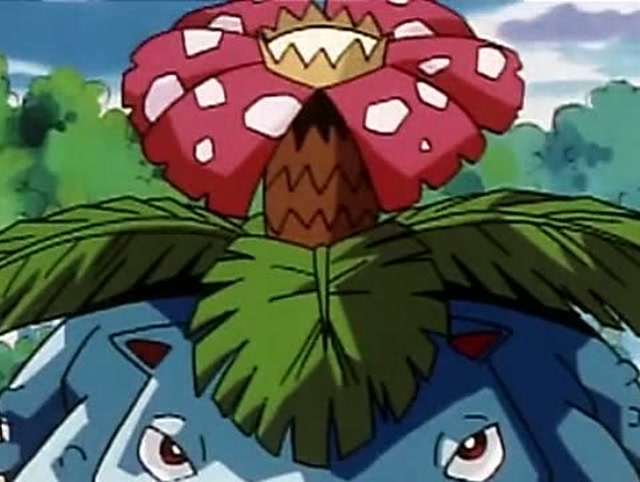 神奇宝贝:妙蛙花vs火球鼠,等级差太多了