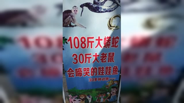 亮点_老鼠成精了?