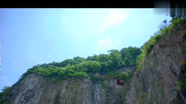 周渝民赖艺烈火如歌银雪暗夜罗 快乐至上