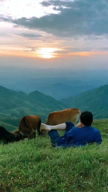 分享搞笑幽默短视频,看到这画面就想起当年放牛的场景