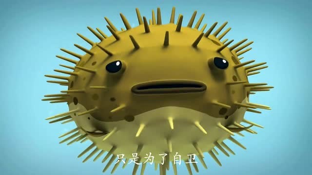 海底小纵队;小密斑刺鲀可是有毒的