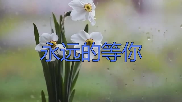 打动人心!祁隆诠释经典之作《永远的等你》,句句戳心