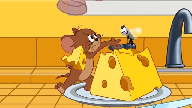 猫和老鼠:奶酪和老鼠之间的争夺战