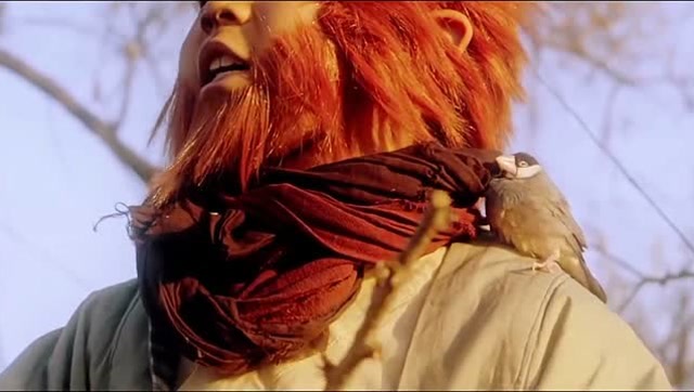 《大圣伏妖》孙悟空, 你还记得五百年前的雀妖小禾吗