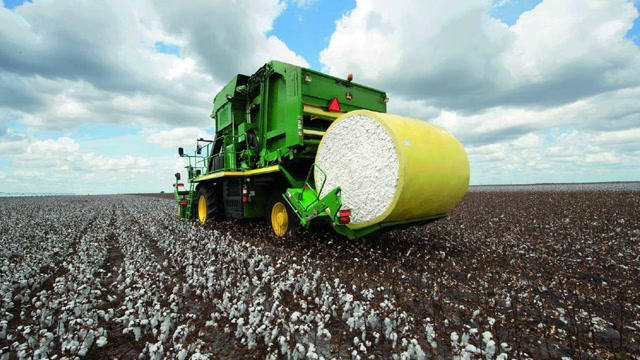 超级棉花收割机,速度快的不得了,比800人干活还快!