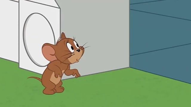 猫和老鼠之偷吃奶酪的杰瑞与苍蝇大战