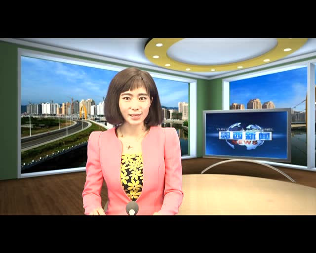 张歌莺深入我县督导调研"推动三大攻坚"活动