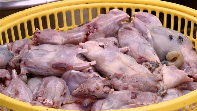 老鼠肉能吃?在越南老鼠肉成为了街头美食