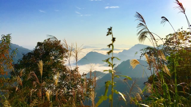行者无间丨张家界桑植县八大公山原始森林公园斗篷山行记