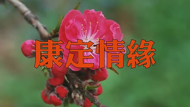 凤凰传奇一曲《康定情缘》送给亲爱的你,歌声太美了!
