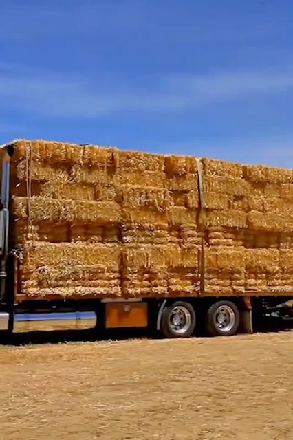 实拍德国巨型草垛处理车