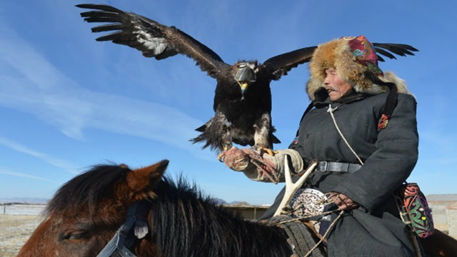少数民族的传统技艺熬鹰到底是怎么做到让鹰听话过程有点残忍