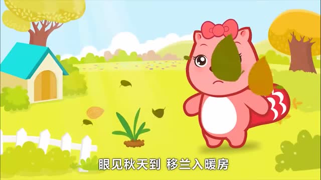 贝瓦儿歌 第一季:兰花草