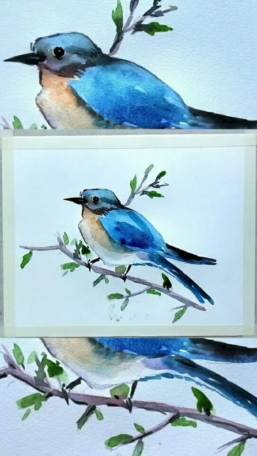 水彩画 蓝色百灵鸟,在树枝上眺望!