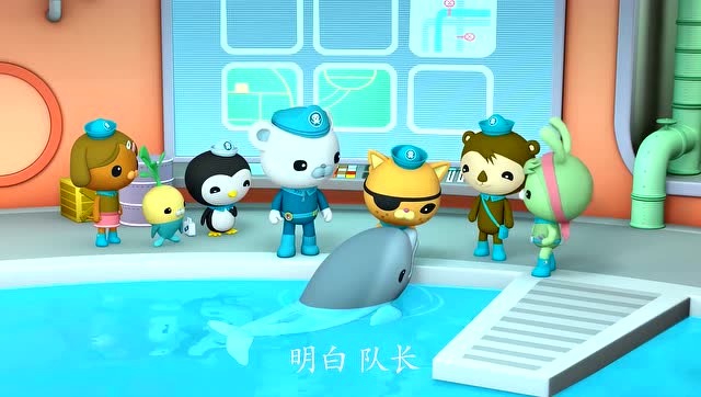 海底小纵队:呱唧照顾小海豚1