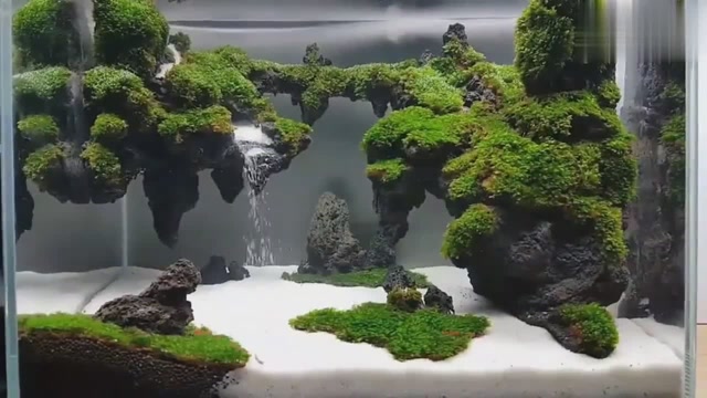瀑布鱼缸!丝毫看不出破绽,好想拿来做居家装饰,真美!