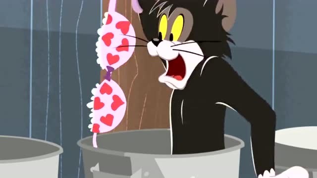 猫和老鼠:在垃圾桶里找食物的布奇竟然敢和美女打招呼?