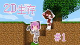 五歌《我的世界真2D生存P1—— 从今天开始泰拉瑞亚》