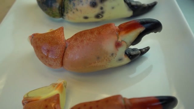 这么大的螃蟹钳子你见过吗?大厨用这钳子制作寿司,你觉得如何