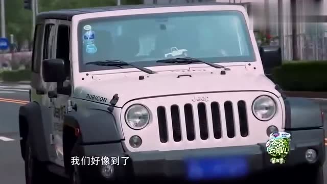 嗯哼不想进幼儿园,结果演技派夫妇上线,嗯哼大王又被成功套路了