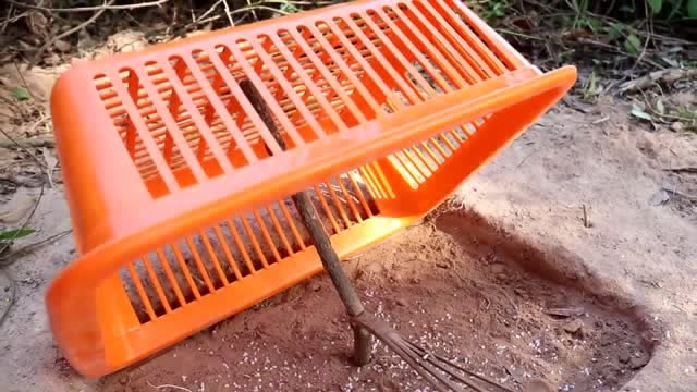 农村小女孩野外设计陷阱,小鸟只要贪吃就会被抓,太实用了