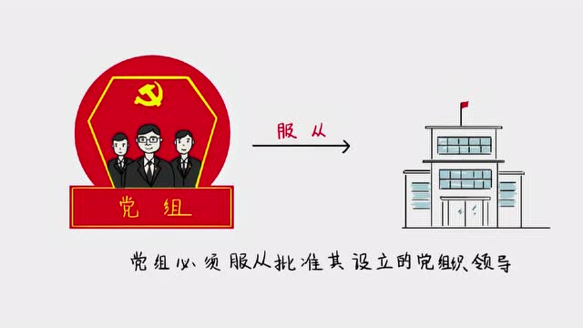 《手绘党章》第九集:党组