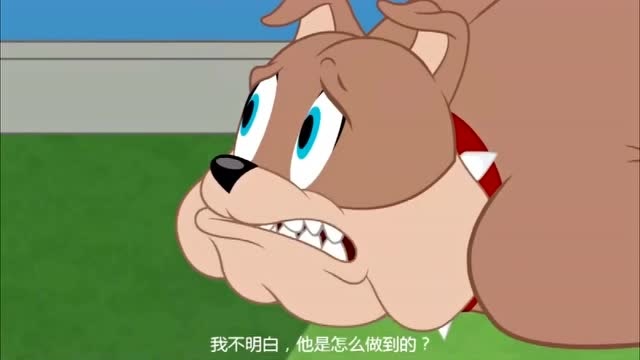 猫和老鼠功夫猫太厉害