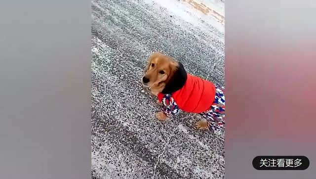 双腿发抖的样子!引来路人哄堂大笑