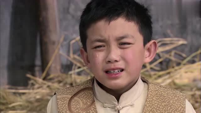 天涯赤子心:大宝崩溃了,心情从大喜到大悲,搁谁也受不了啊!