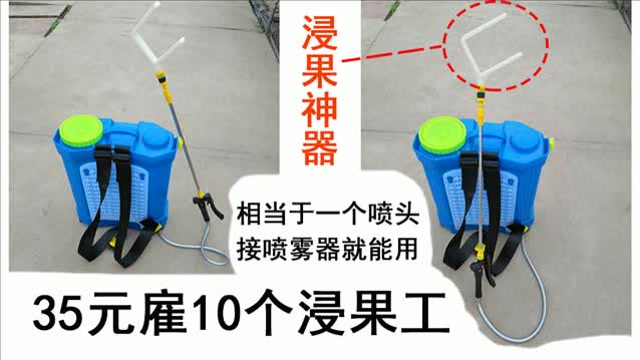 浸果神器 35元雇10个工,猕猴桃速度快效果好